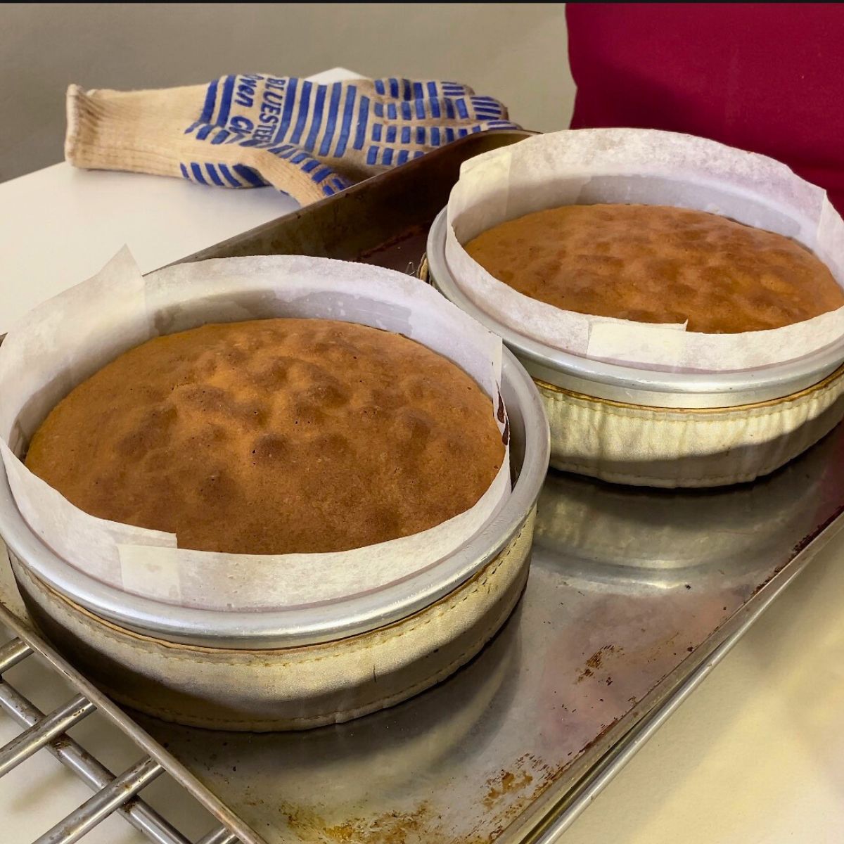Two cake pans with baked vanilla cakes.