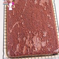 A rectangular chocolate cake.