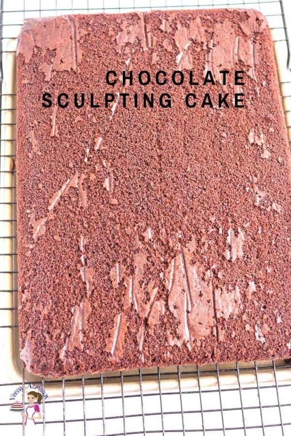 A chocolate cake for cake sculpting.
