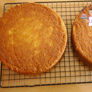 Vanilla cake layers.