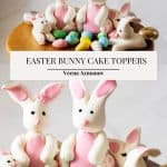 Pinterest image cake toppers bunnies.