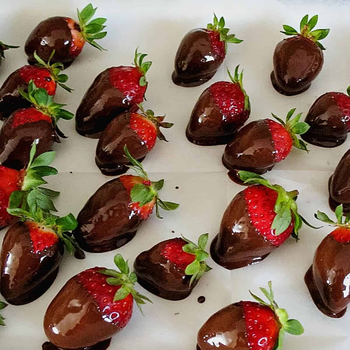 A baking sheet with strawberries covered with melted chocolate.