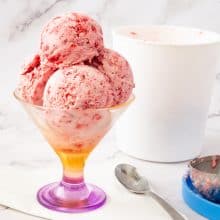 An ice cream bowl with no churn ice cream.