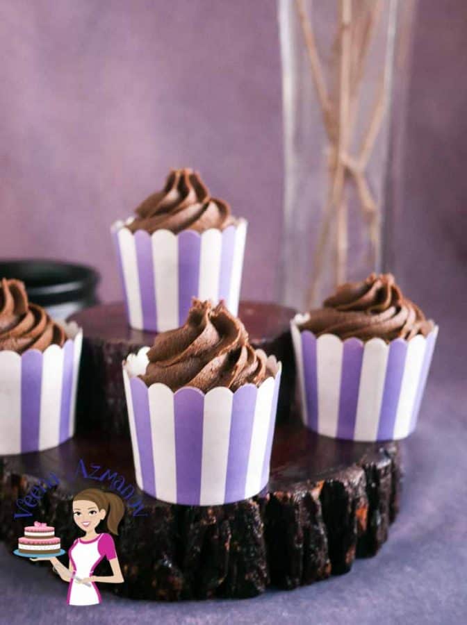 Chocolate cupcakes with chocolate frosting.