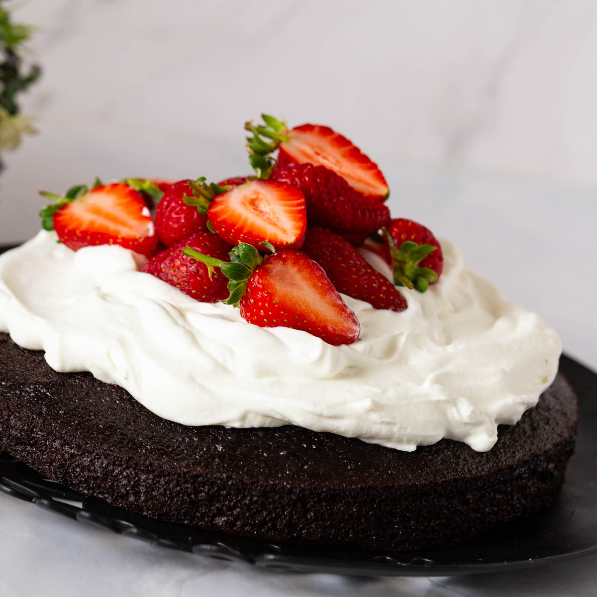 Chocolate Cake with Whipped Cream.