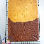 A half chocolate half vanilla sheet cake.