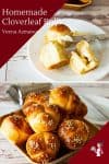 Homemade Bread, white bread recipe, cloverleaf shaped rolls - with progress pictures