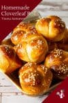 Homemade Bread, white bread recipe, cloverleaf shaped rolls - with progress pictures