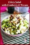 How to make a crunchy salad with celery, cranberry and toasted pecans