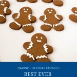 Pinterest image for classic gingerbread.