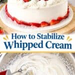 Pinterest image on how to Stabilize Whipped Cream 5 Methods.