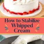 Pinterest image on how to Stabilize Whipped Cream 5 Methods.