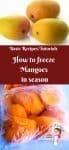 Mango pieces in a ziplock bag.