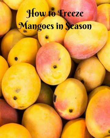 A pile of Mangoes.