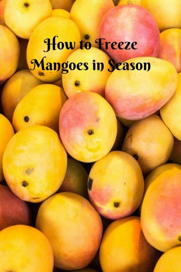 A pile of Mangoes.