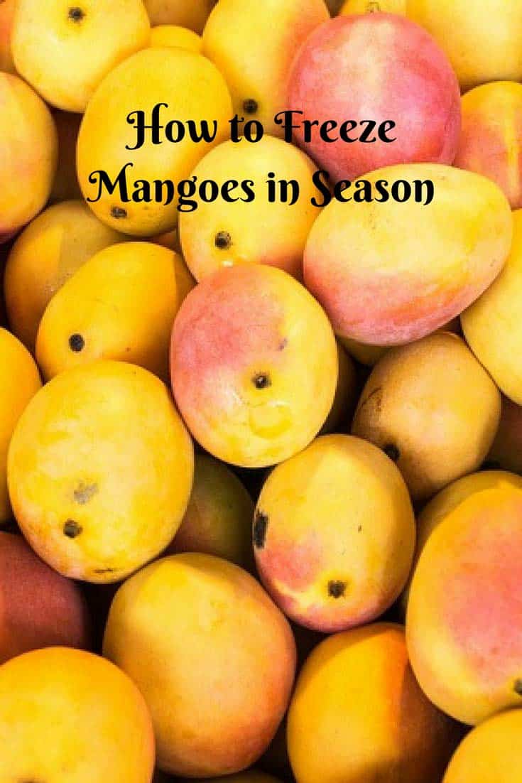 How to Freeze Mangoes or Preserve Mangoes for a Long Time