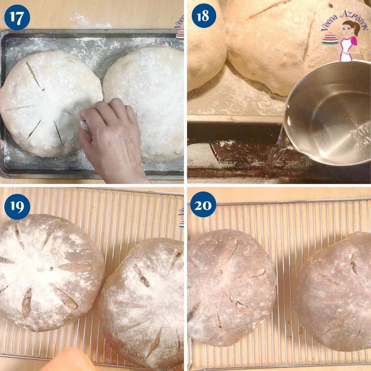 Raisin walnut bread Progress Pictures collage.