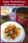Skinny Turkey Meatballs in Fresh Tomato Sauce over Penne Pasta