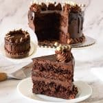 Chocolate cake on the cake stand.