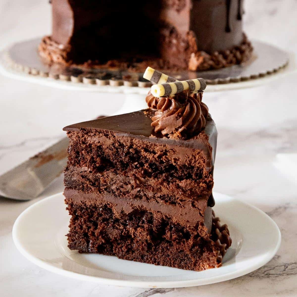 A slice of chocolate cake.