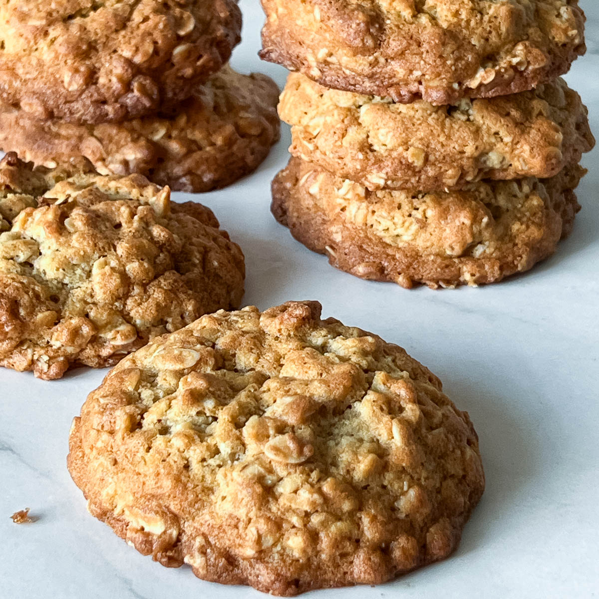 Oatmeal cookies on the table.