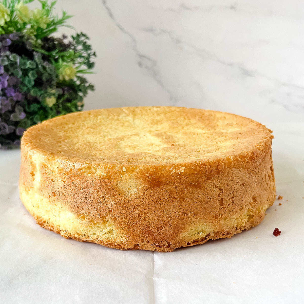 A baked 8-inch Genoise sponge on the table.
