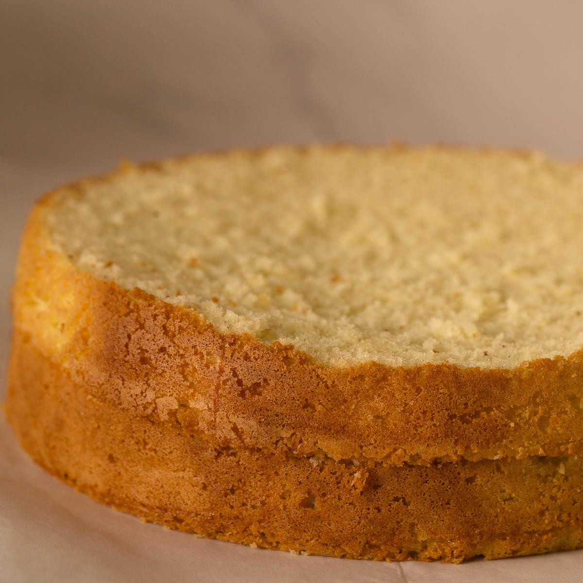 Light Sponge cake cut in two horizontal.