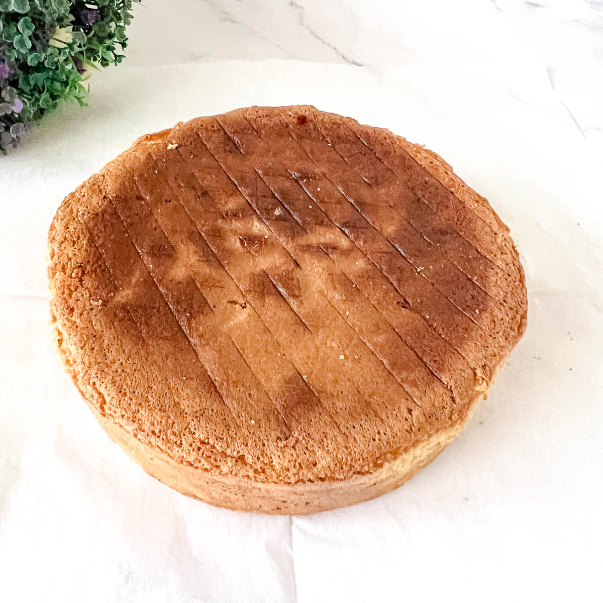 The top crust of the light sponge cake.