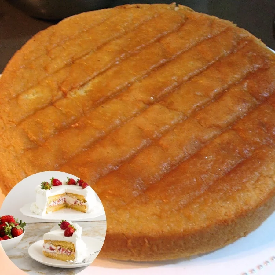 A Genoise sponge cake.