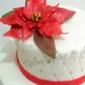 A Christmas cake with a gum paste Poinsettia flower.
