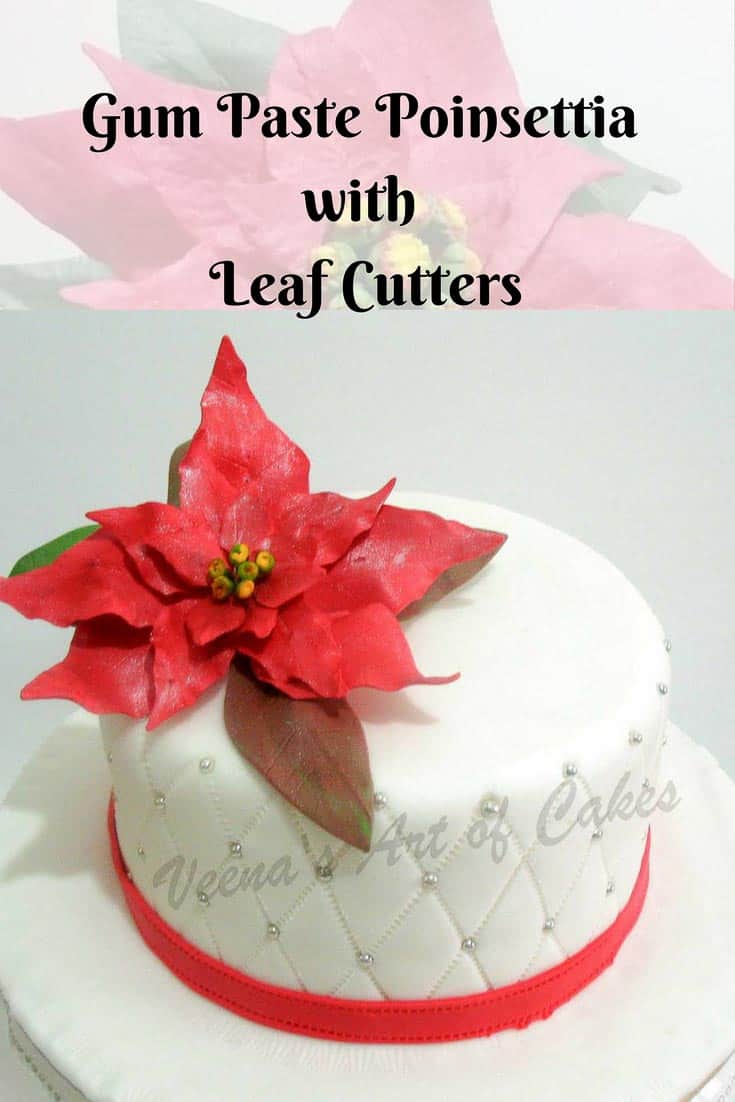 A Christmas cake with a sugar poinsettia flower on top.