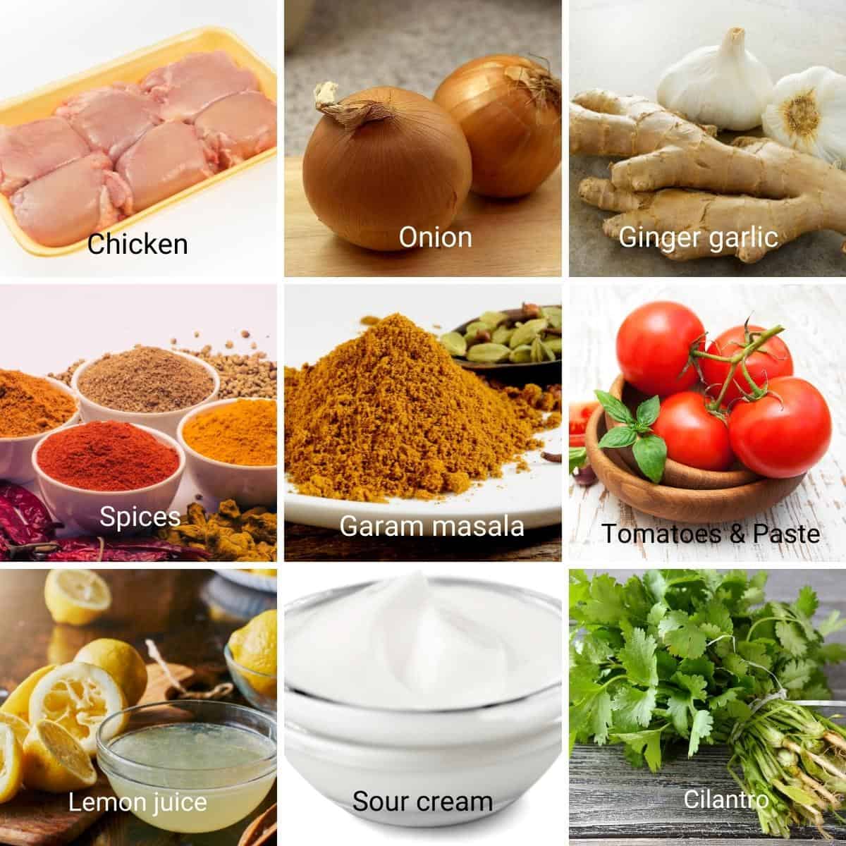 Ingredients for making easy chicken curry recipe.