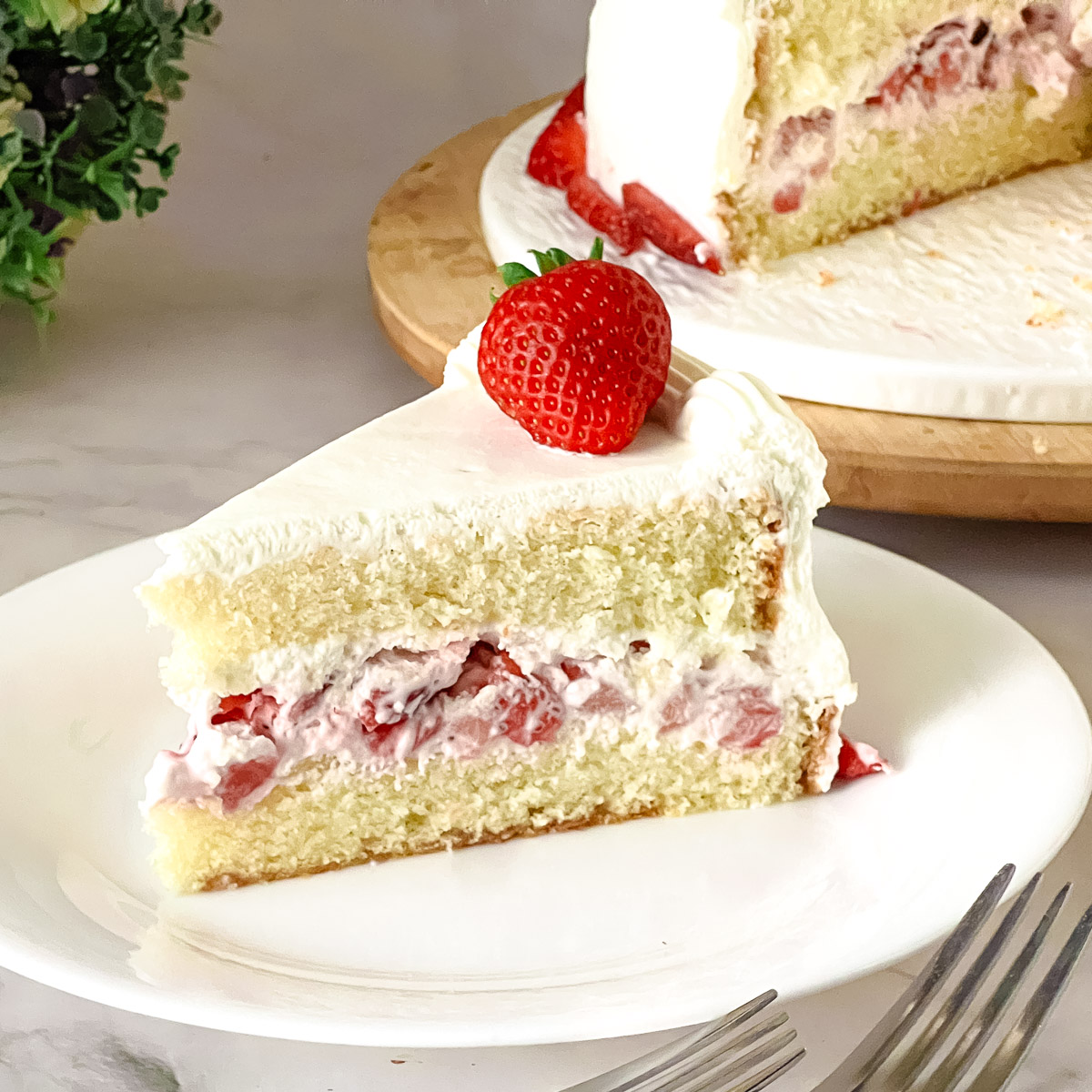 Strawberry Whipped Cream Cake (Light Sponge with Fresh Strawberries ...