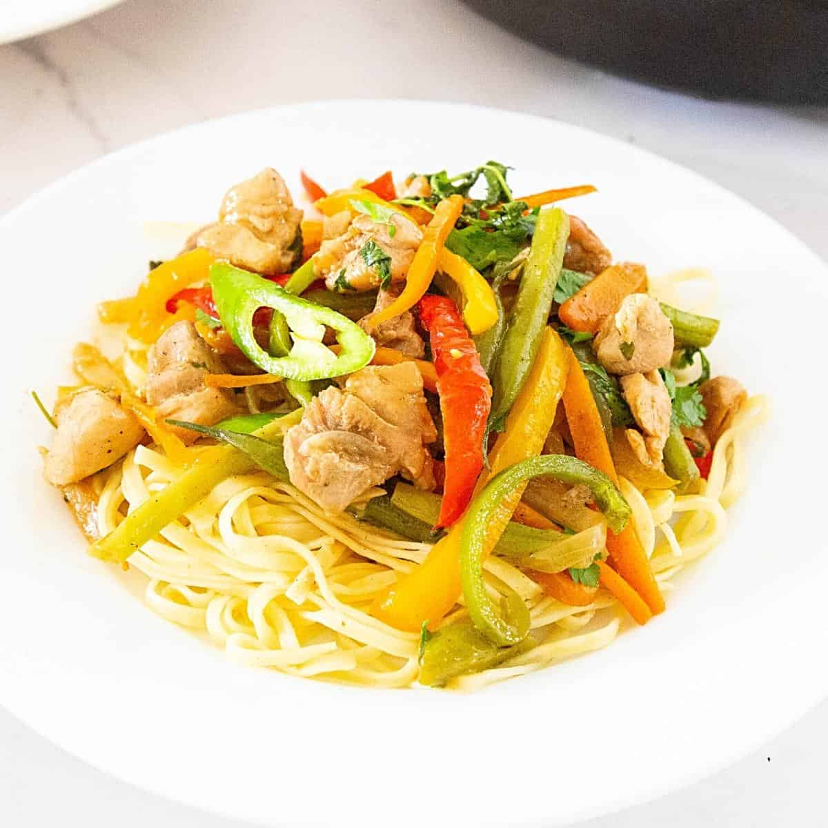 A plate with boiled noodles and chicken stir fry.