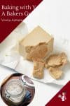Everything you need to know about yeast and baking bread with yeast