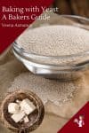 A bowl of dry yeast.