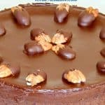 Pinterest image for chocolate pecan cake.