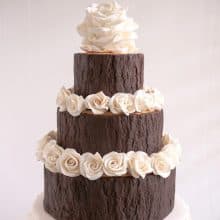 A cake with white or dark modeling chocolate.