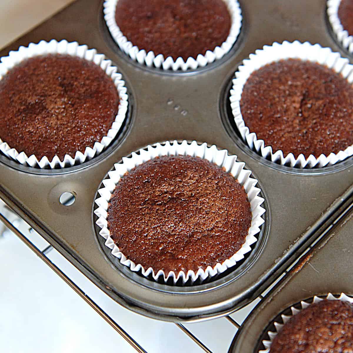 A muffin pan with chocolate cupcakes.