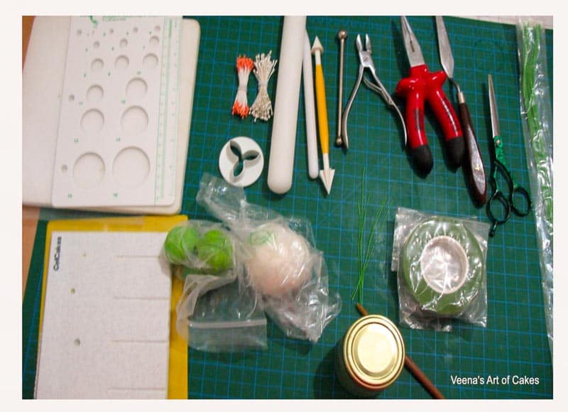 The tools needed to make gum paste flowers.