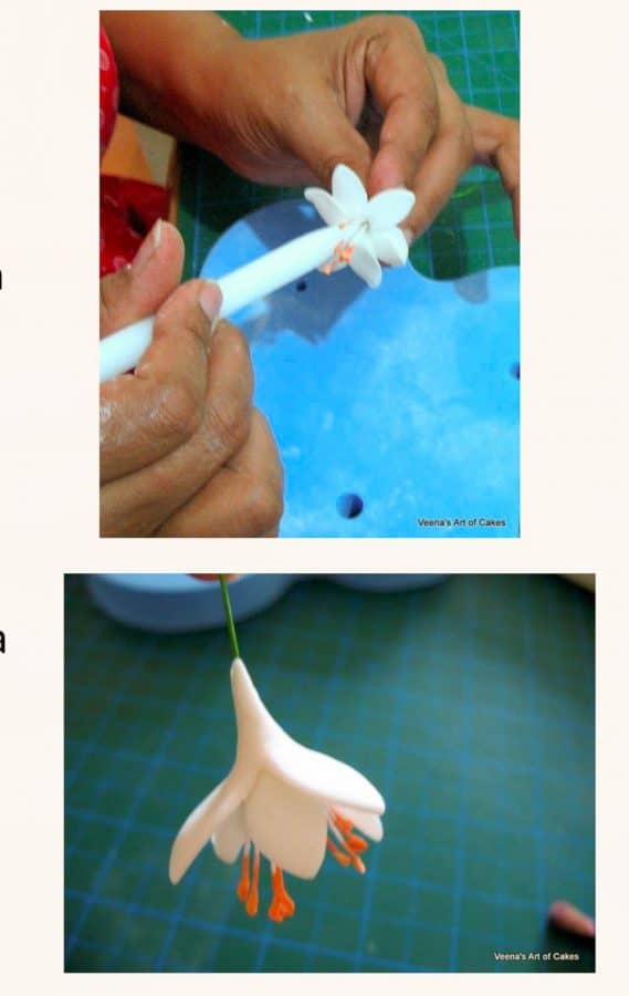 Progress photos of making a gum paste flower.