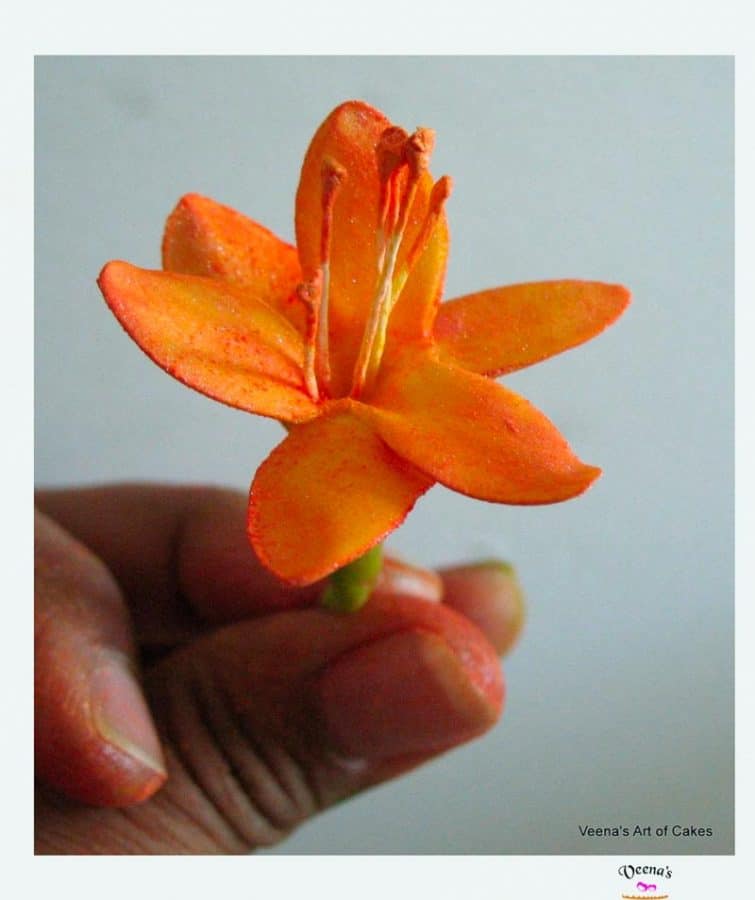 A person holding a gum paste freesia flower.