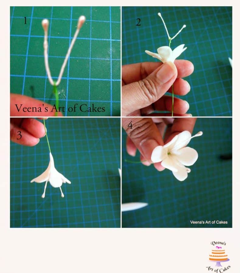 Progress photos of making a gum paste flower.