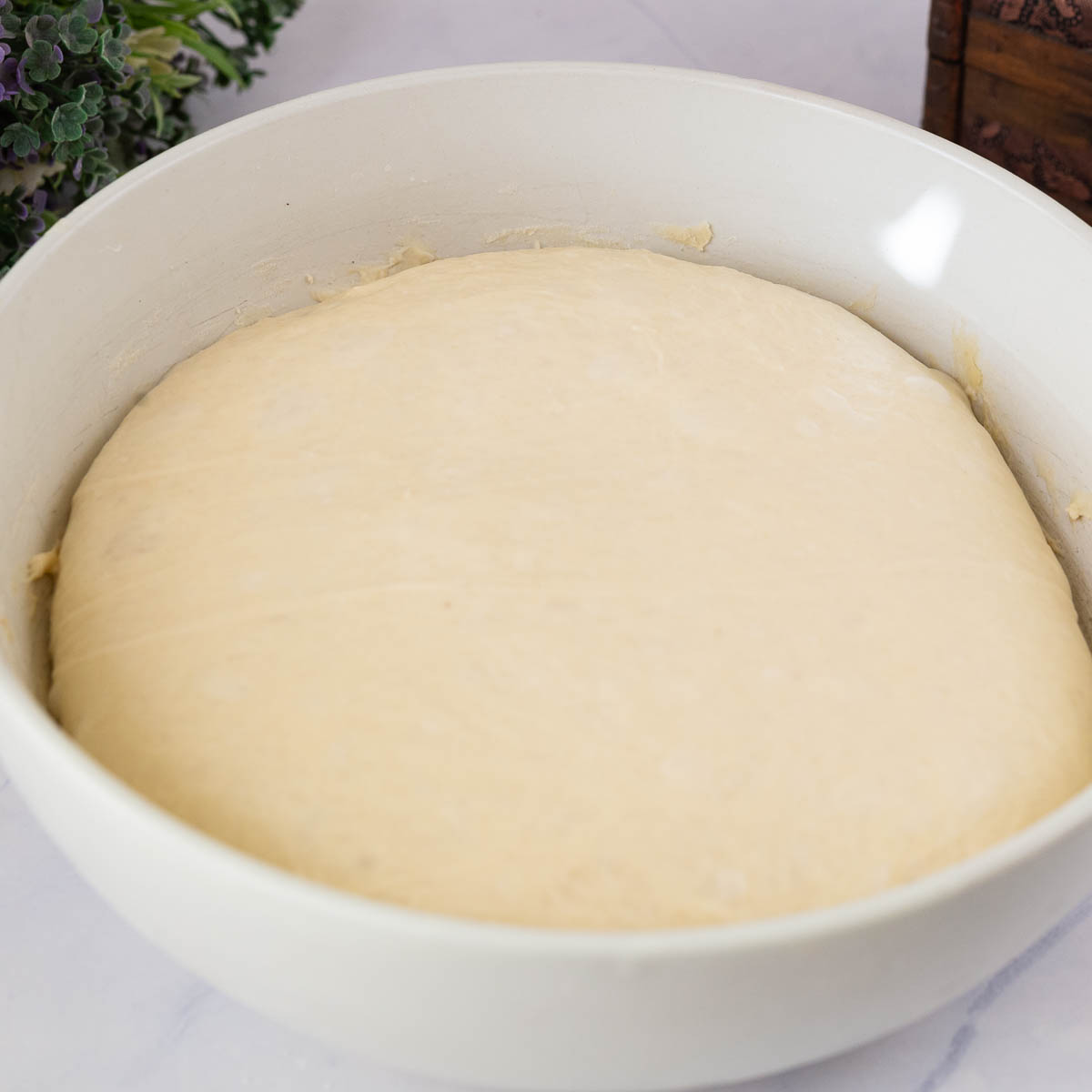 Pizza dough in the first proof.