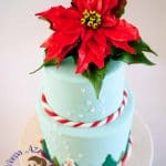 A cake decorated with a Christmas theme and a sugar poinsettia flower.