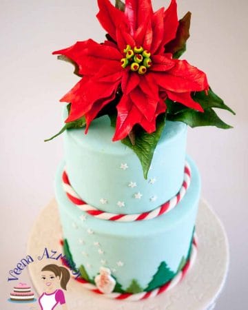 A cake decorated with a Christmas theme and a sugar poinsettia flower.