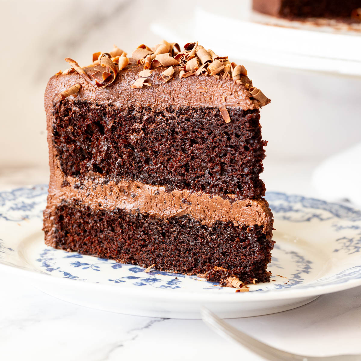 A slice of chocolate cake on the plate.