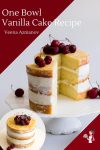 Homemade Cake Recipe One Bowl from Scratch Vanilla Flavor