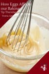 Have you ever wondered what eggs do for our Baking?