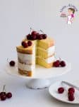 A Pinterest optimized image for one bowl vanilla cake recipe featuring a three layer vanilla cake frosted with American Buttercream and topped with fresh cherries